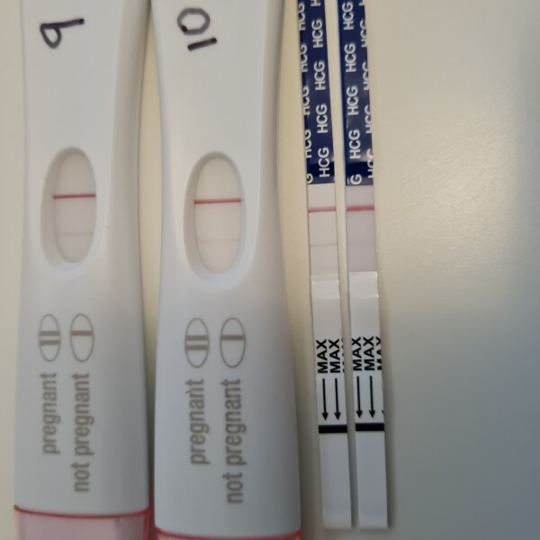Line progression 9&10DPO