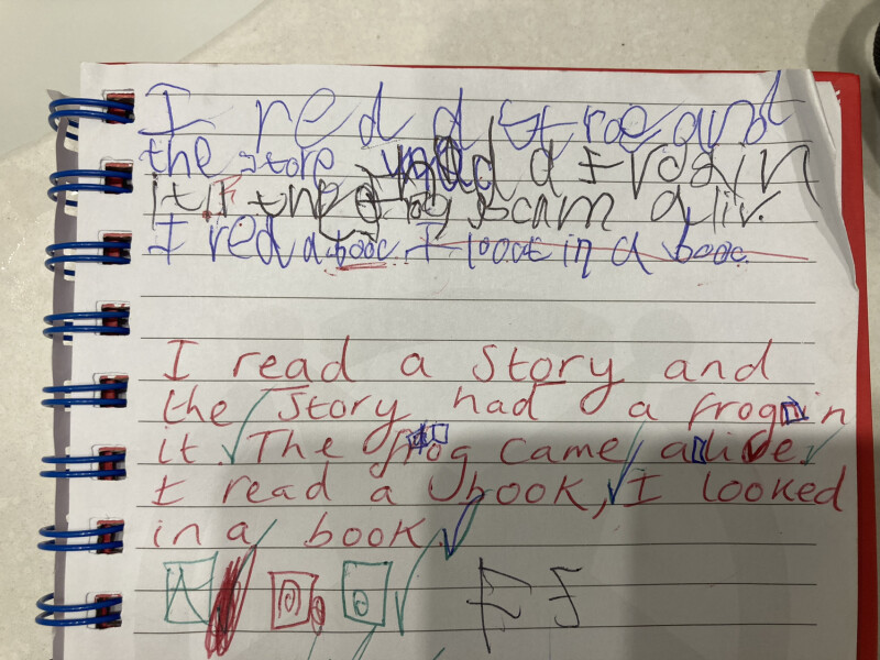 Should I get my 6 year old a tutor