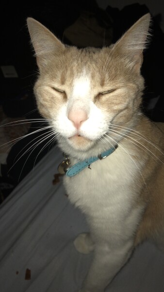 To a life well spent – RIP Cap'n V