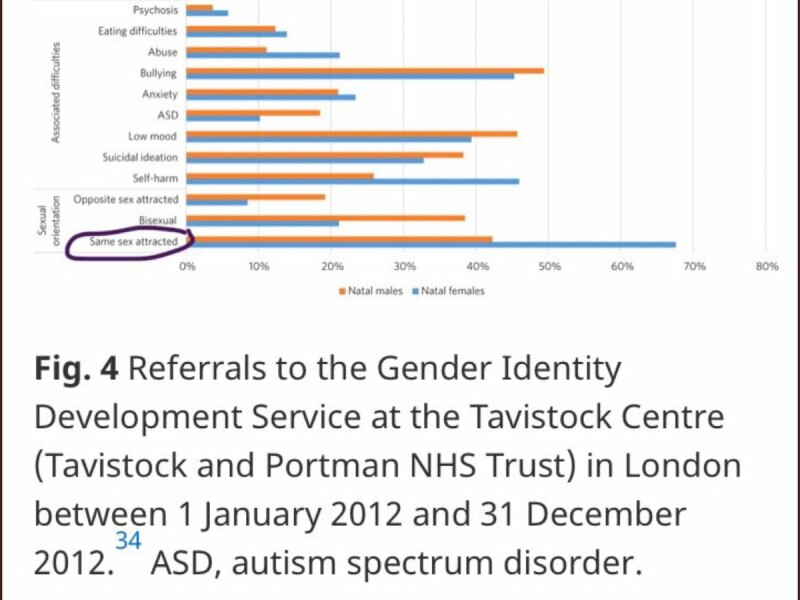 I have a question about same sex attraction and trans rights in the context of gay men and transmen