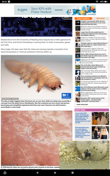 Oooh lovely ! These live on our face and nipples.