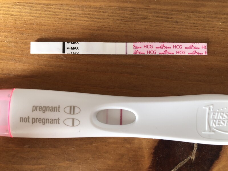 TTC March 2023 babies 🌸🌷🌿🐇🐣