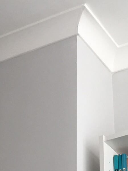 What is the new grey?