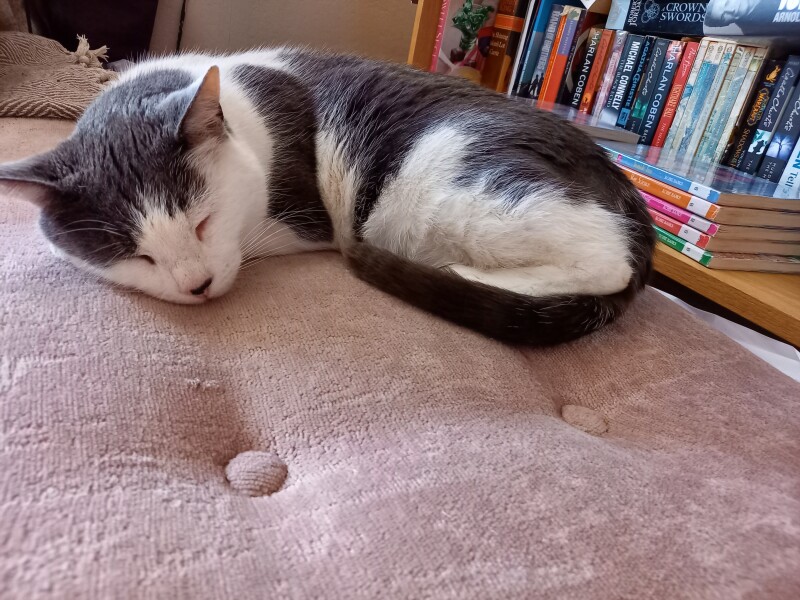 War and Peace Readalong thread 2022 - thread 2