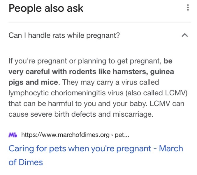 Rats around me at 37 weeks pregnant