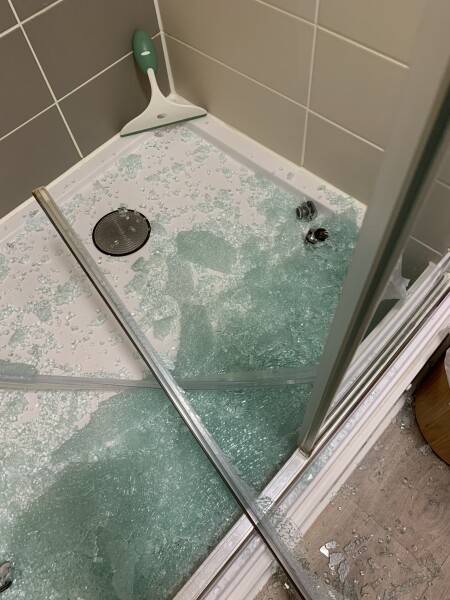 AIBU to leave dog in shower for one day? 