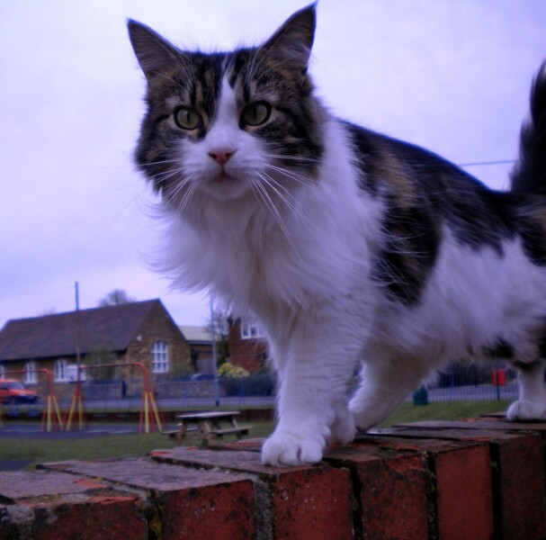 Current Year 11 - 2 more weeks of exams!!