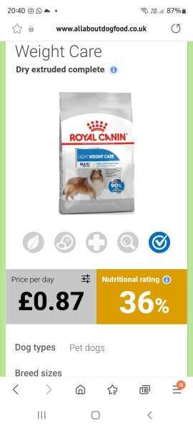 Overweight Pooch