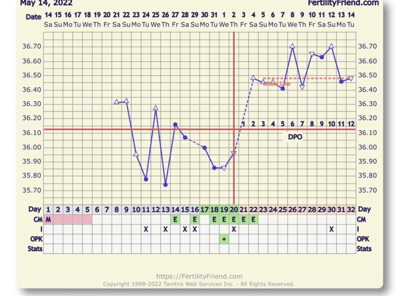 1st Time TTC BBT Help