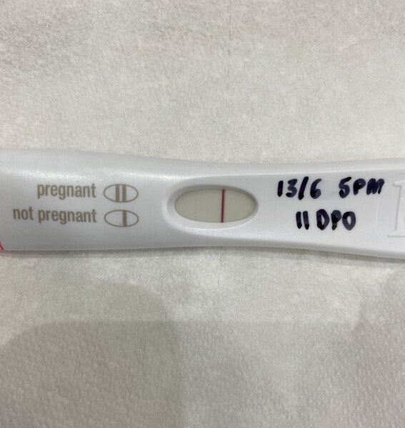 Hoping for a June BFP 💖🌷💖