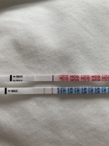 After ovulation signs you were pregnant? 