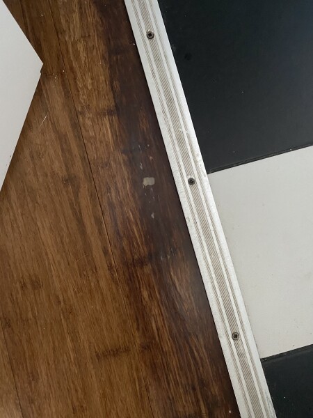 Can anyone help diagnose our damp/leak?
