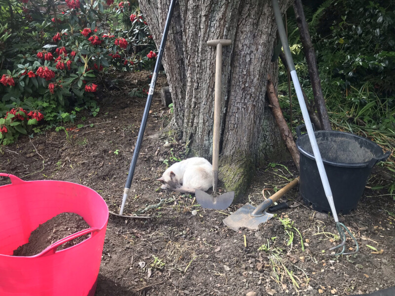 Brexit mega thread part 8: platinum jubilee edition 