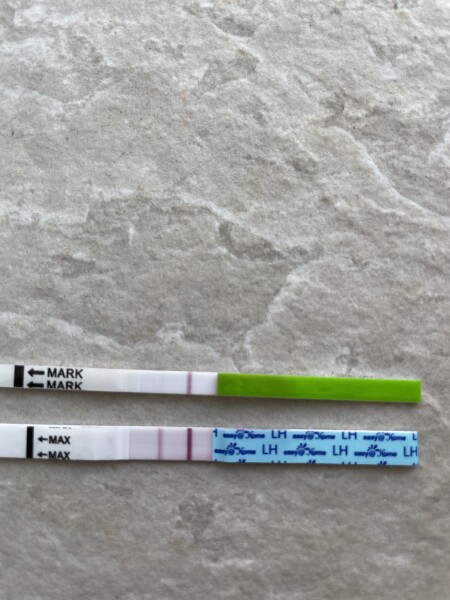 3dpo - cycle buddies ?
