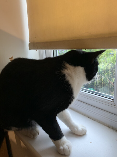 To a life well spent – RIP Cap'n V