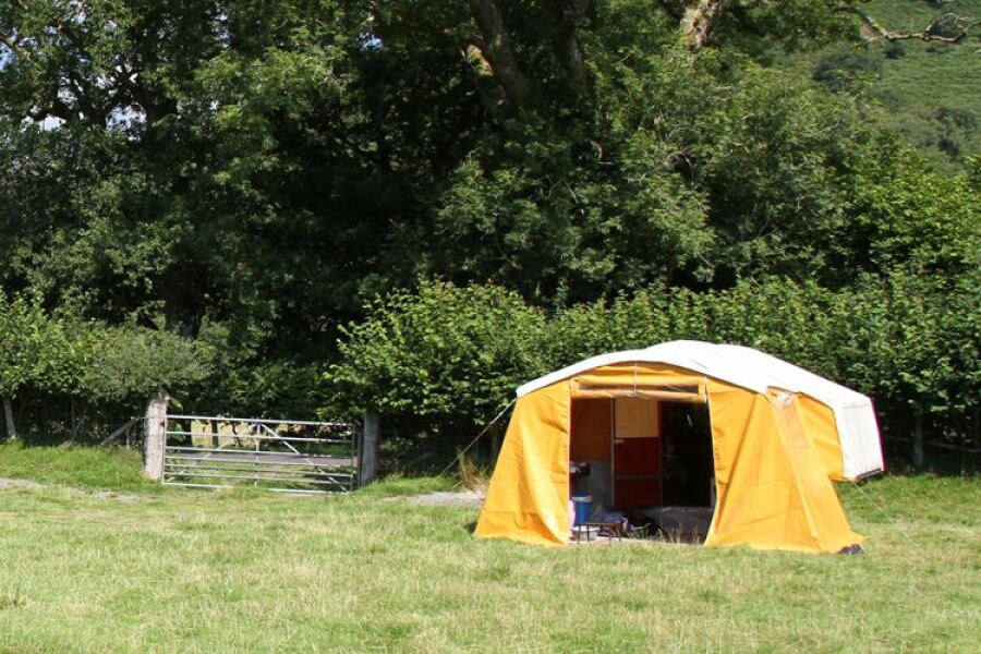 Dandy folding camper