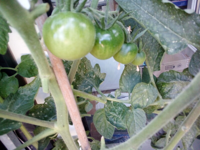 Come and tell me your dull and unexciting news 22: Calmly through the day