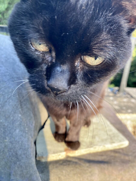 To a life well spent – RIP Cap'n V