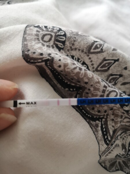 Ovulation 