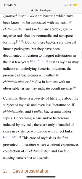 Daughter had flies eggs in her ingrowing toenail