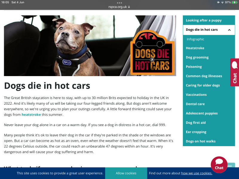 Shopper left dog in car