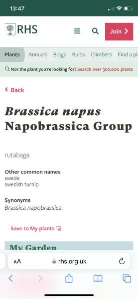 To have swapped the swede?