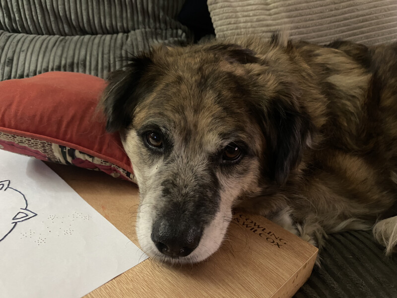 We have a phone appointment with an overseas rescue :)