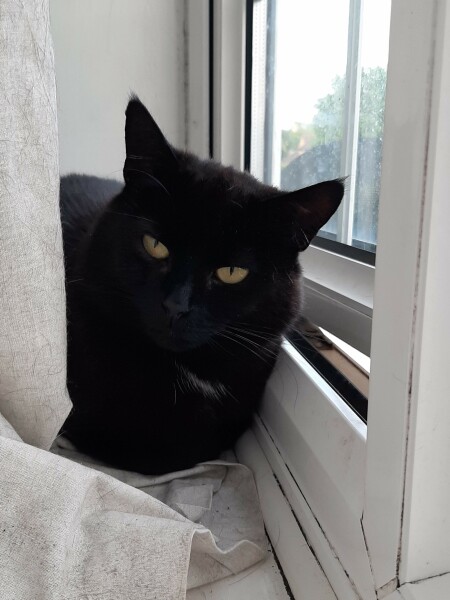 Brexit mega thread part 8: platinum jubilee edition 