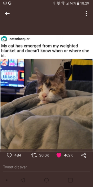 Weighted blanket, worth it?