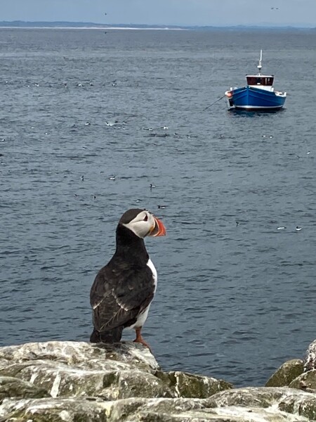 Come and tell me your dull and unexciting news 22: Calmly through the day