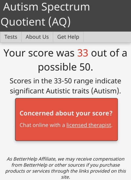 Autism in adults? Something else?