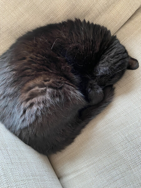 To a life well spent – RIP Cap'n V