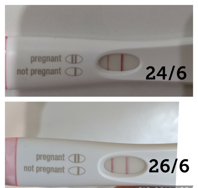 Due Late Feb / Early March 2023 💖💙💐🌈