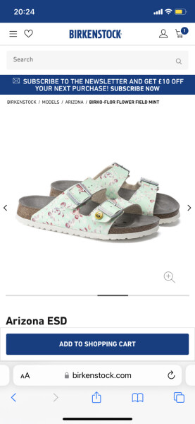 Please talk me out of buying these Birkenstocks...