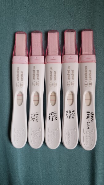 10dpo Early Test