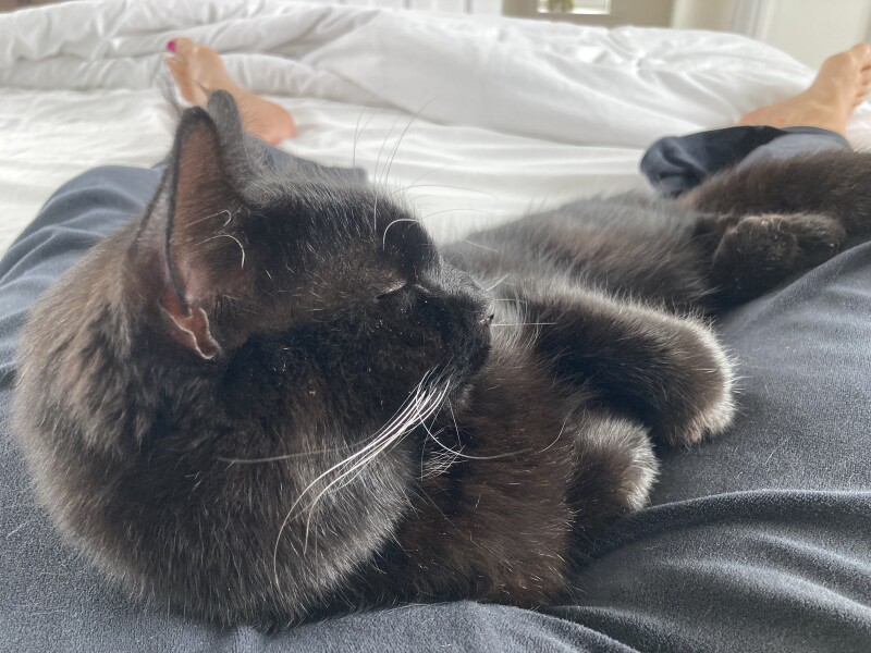 To a life well spent – RIP Cap'n V