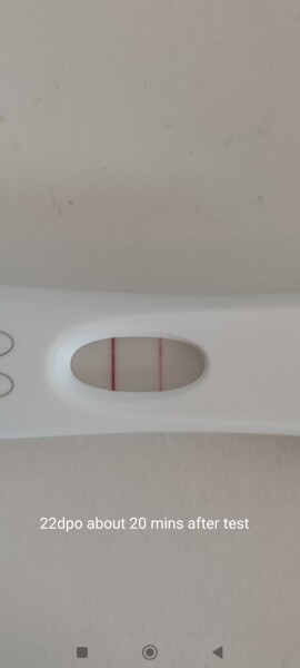Line progression after previous losses, covid and scans worry 