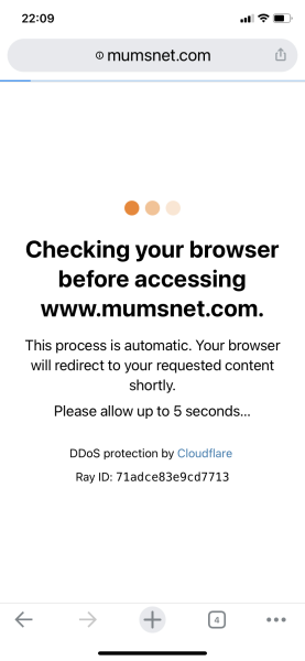 Cloudflare waiting page