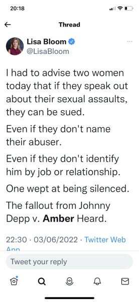 Amber Heard&Johnny Depp verdict