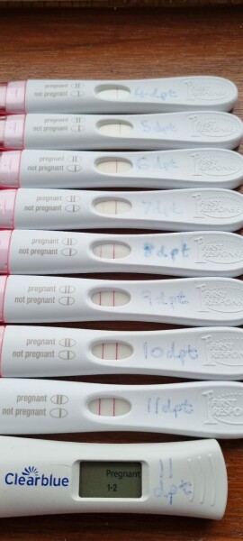HELP! Bleeding but very strong pregnancy lines that keep progressing.