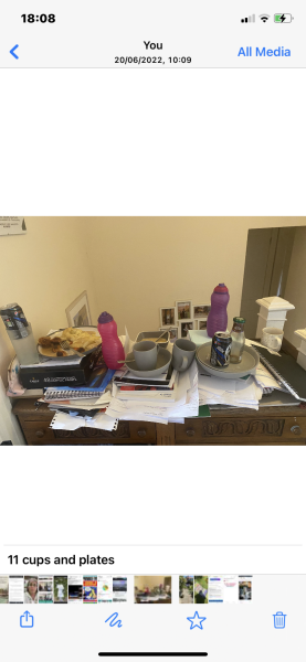 Current Year 11 - 2 more weeks of exams!!