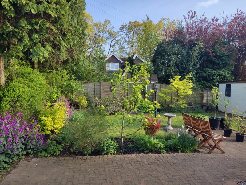 No birds visit my new garden - 🙁 how can I attract them?