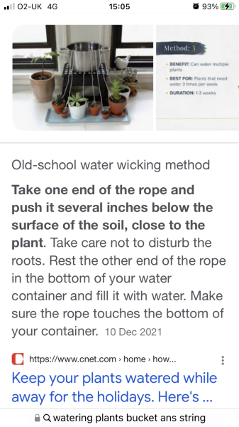 What are my options? Leaving my beloved plants!