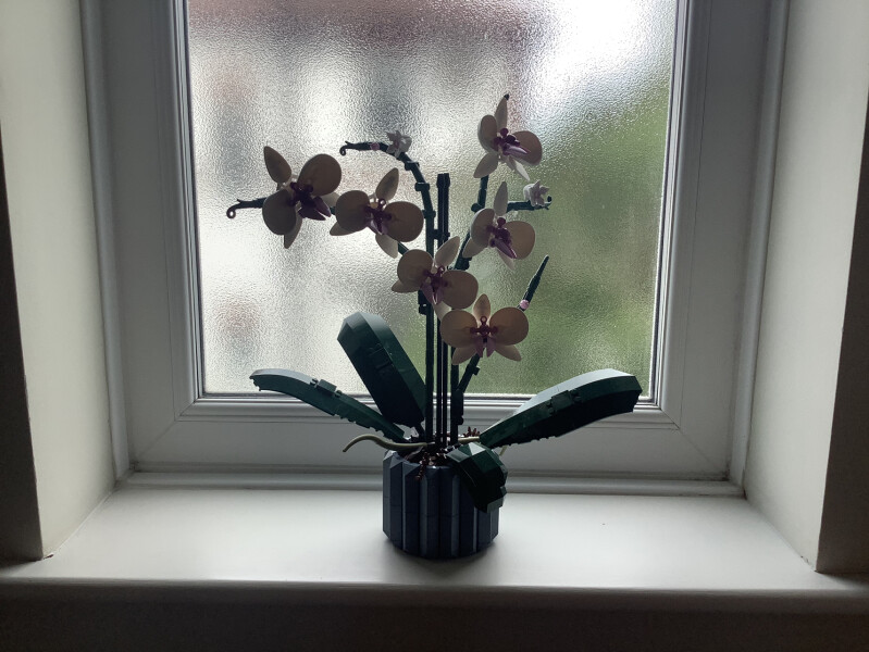 Anyone have Lego flowers?