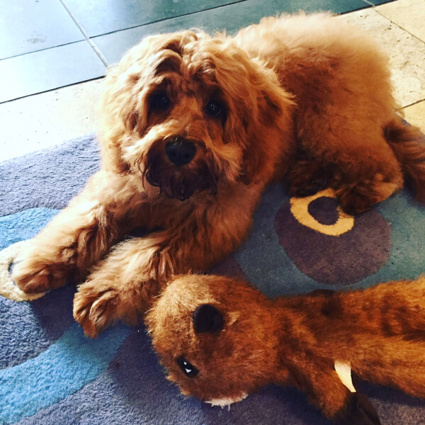 Current Year 11 - 2 more weeks of exams!!