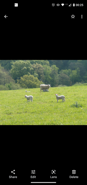 Come chat hiking with me!