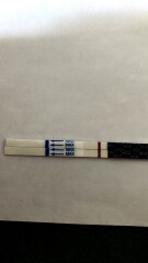 Is this the start of BFP?