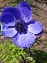 Show Us Your Pictures 6