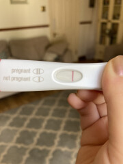 7dpo buddies