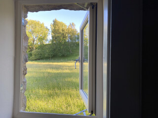 Why We Eat (Too Much) Thread 5